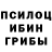 Псилоцибиновые грибы Cubensis Olga Krapivina