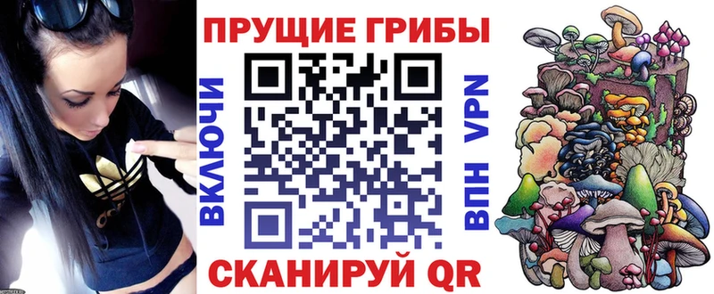 Галлюциногенные грибы мухоморы  купить наркотик  Сыктывкар 