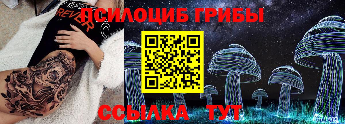 Псилоцибиновые грибы Psilocybine cubensis Сыктывкар